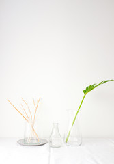 Dried flower and green leaf plant in glass vases on white table top on white wall background in natural light with empty copy space for text or mock up placement. Minimal interior design concept