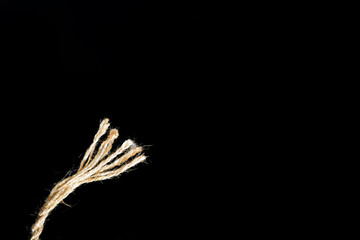 ear of wheat on black background