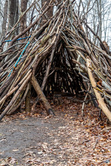 Shelter in the Woods