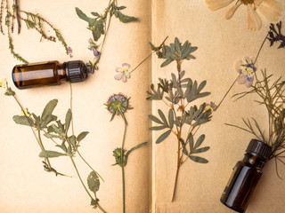 Natural herbal medicine with fresh herbs and flowers, aromatherapy essential oils on paper background.