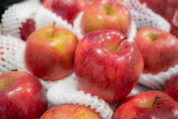  Lots of red-green ripe apple