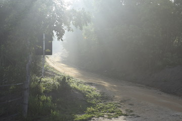 Fototapeta na wymiar Raio de Sol através de floresta. Estrada de terra iluminada