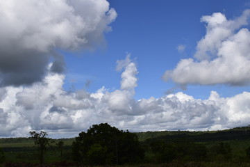 Obraz na płótnie Canvas Céu azul com nuvem cumulus branca. Horizonte rural com vegetação