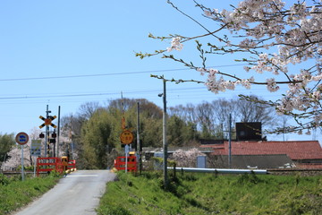 桜の花と踏切が見える田舎の風景