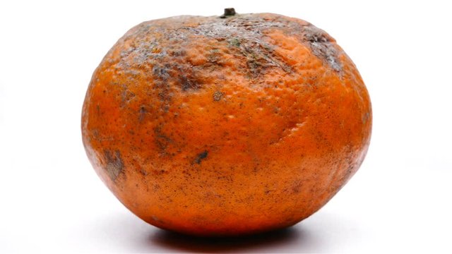 overripe orange rotating and pause on black background