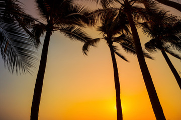 Fototapeta premium Sunset at the beach vies, outdoor day light