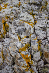 Isle of Skye texture