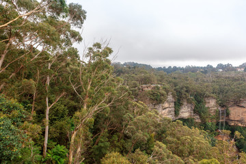 Scenic view at the Blue Mountains in New South Wales, Australia.