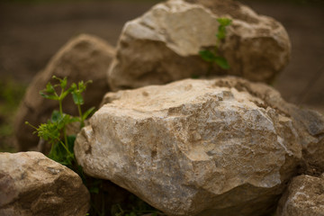Big stone on a grass. Natural texture background.