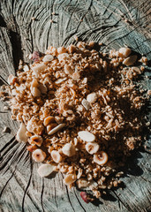 Cereals, muesli and nuts on a tree trunk. Sunlight. zenital view