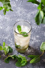 Vertical shot.Closeup of collins glass of mint julep, fresh juicy mint on grey surface and around the glass