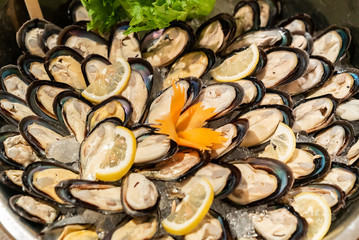 Blue Mussel Seafood on ice