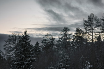 Fototapeta na wymiar Beautiful winter landscape in the mountains. Sunset