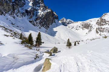 Fototapeta na wymiar Mala Studena dolina in the winter. Tatra Mountains. Slovakia.