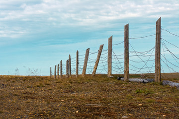 Fototapeta premium barbed wire