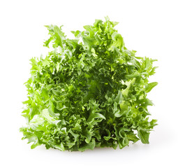 Fresh lettuce isolated on white background