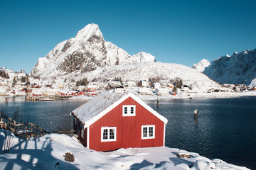 Fototapeta premium Îles Lofoten - Norvège - Reine