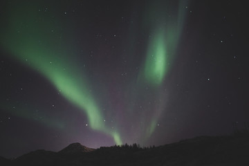 &Icirc;les Lofoten - Norv&egrave;ge - Aurore bor&eacute;ale
