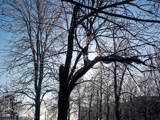 winter Park on a clear day