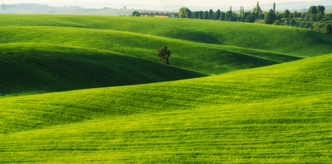 hilly field. spring hills. scenic agricultural field