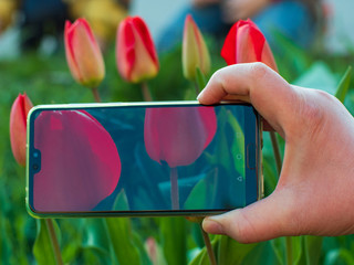 Fototapete bei efototapeten.de bestellen   