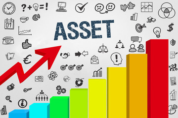 Asset 