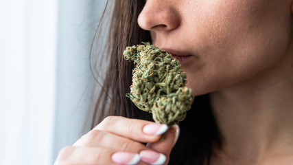 Naklejka na ściany i meble a young girl holds a marijuana cone in front of her. Women's health while smoking marijuana.
