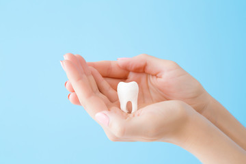 Woman hands holding white tooth isolated on pastel blue background. Teeth care and protection concept. Closeup. 