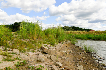 Fototapeta na wymiar Der Fluss die Oder