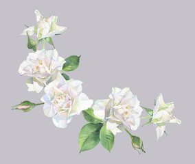A bouquet of white roses with buds for congratulations, invitations, weddings, birthday, mom's day
