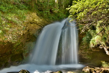 Wasserfall in der grünen Welt