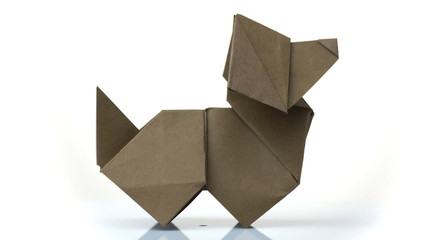 Origami dog close up. White isolated background.