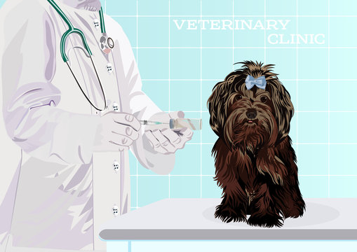 Veterinarian doctor. Dog on examination table in vet clinic. Vector cartoon illustration.