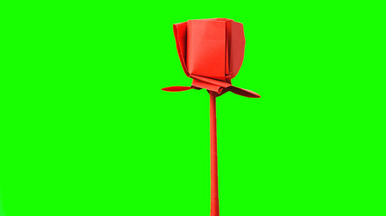 Red tulip origami flower. Red origami rose on green background. Spring flower made from red paper. Origami instructions for beginners.