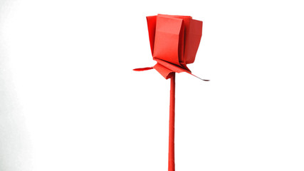 Red paper flower isolated on white background. Floral origami decoration. Beautiful handmade...