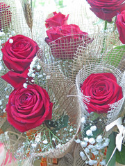 rosas rojas de sant jordi