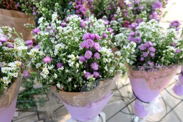 A row sweet white purple packenging of flowers blossom with purple statis flower and green leaves in a beautiful packaging selling in outdoor place 