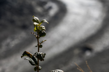 Die wunderbare Bergwelt des Wallis im Herbst