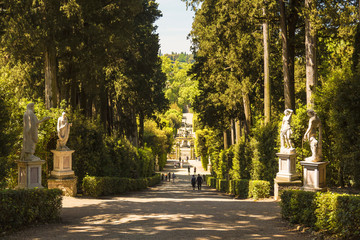 Park alley with statues in the Boboli gardens. Florence. Italy