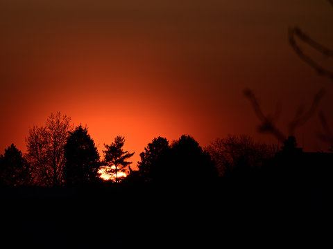 Sunset behind the forest.