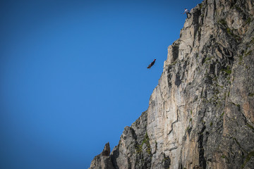 a wingsuit jumper jumping from a cliff in Brevent, Auvergne-Rhône-Alpes, Chamonix, France © Fred Marie