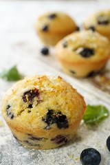Homemade Lemon Blueberry Muffins with sugar topping, selective focus