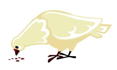 White dove eating seeds pigeon isolated bird