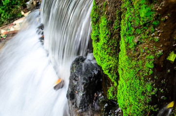 waterfall in the forest
