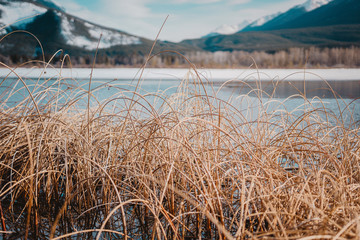 Beautiful sunrise over Vermillion Lake , Banff National Park, Alberta, Canada. Vermilion Lakes are a series of lakes located immediately west of Banff, Alberta
