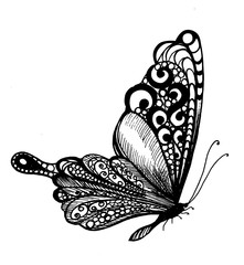 vector sketch butterfly