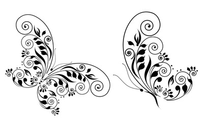 black butterfly, isolated on a white