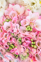 colorful bouquet of freesia flowers background