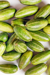 pointed gourd potol green vegetable on white background