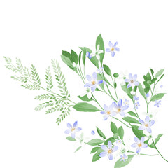 Watercolor set beautiful bouquets